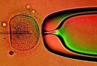Emancipate the Embryo! Britain set to enter ‘brave new world’